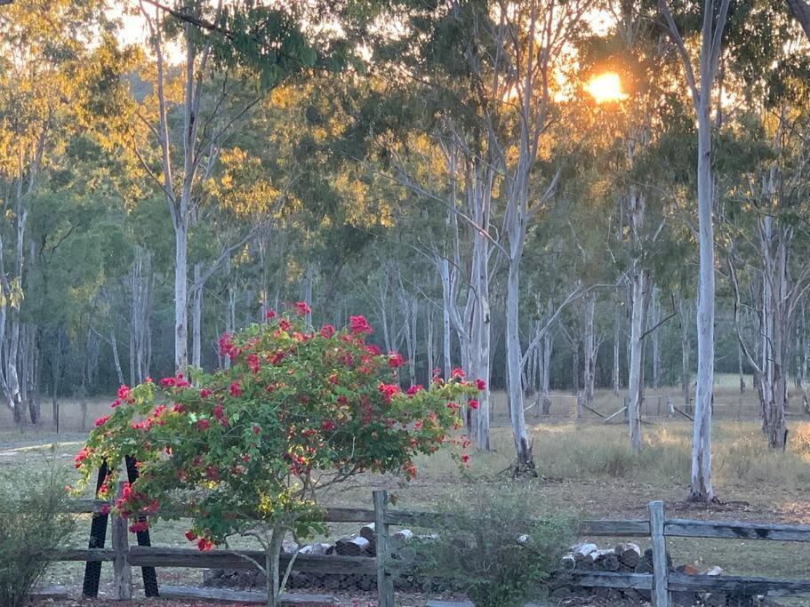 Saddleback Country Cabins Near Gin Gin Villa Moolboolaman Bagian luar foto